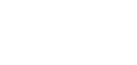 Pulsz About Vision Pulsz About Vision